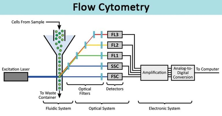 Flow Cytometry Definition Principle Parts Steps Types Uses