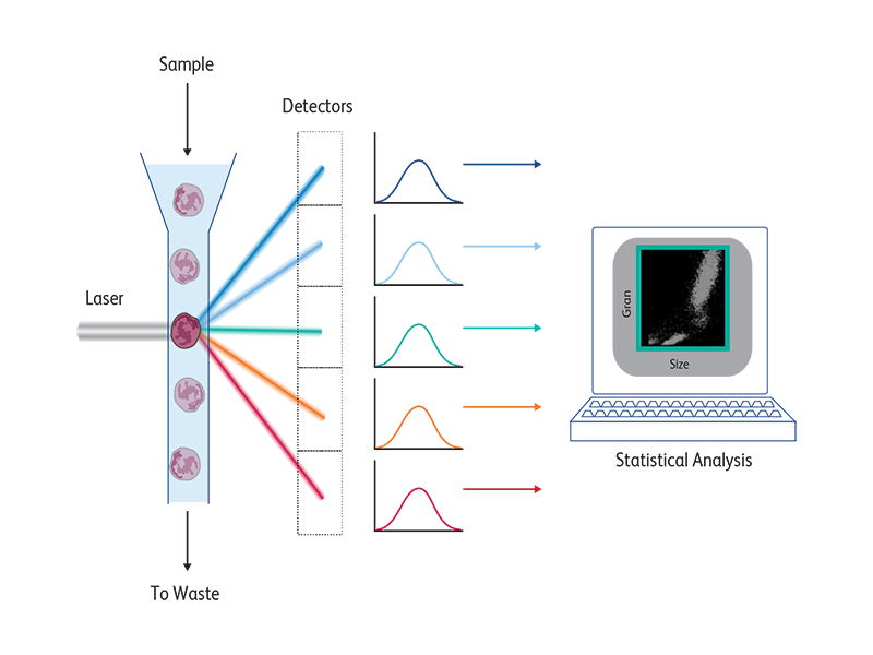 Flow Cytometry Flow Chart