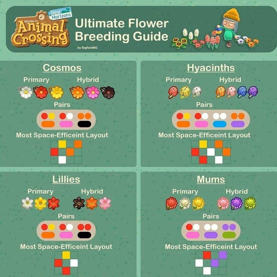  Flower Breeding Guide Animal Crossing New Horizons Wiki Fischlexikon