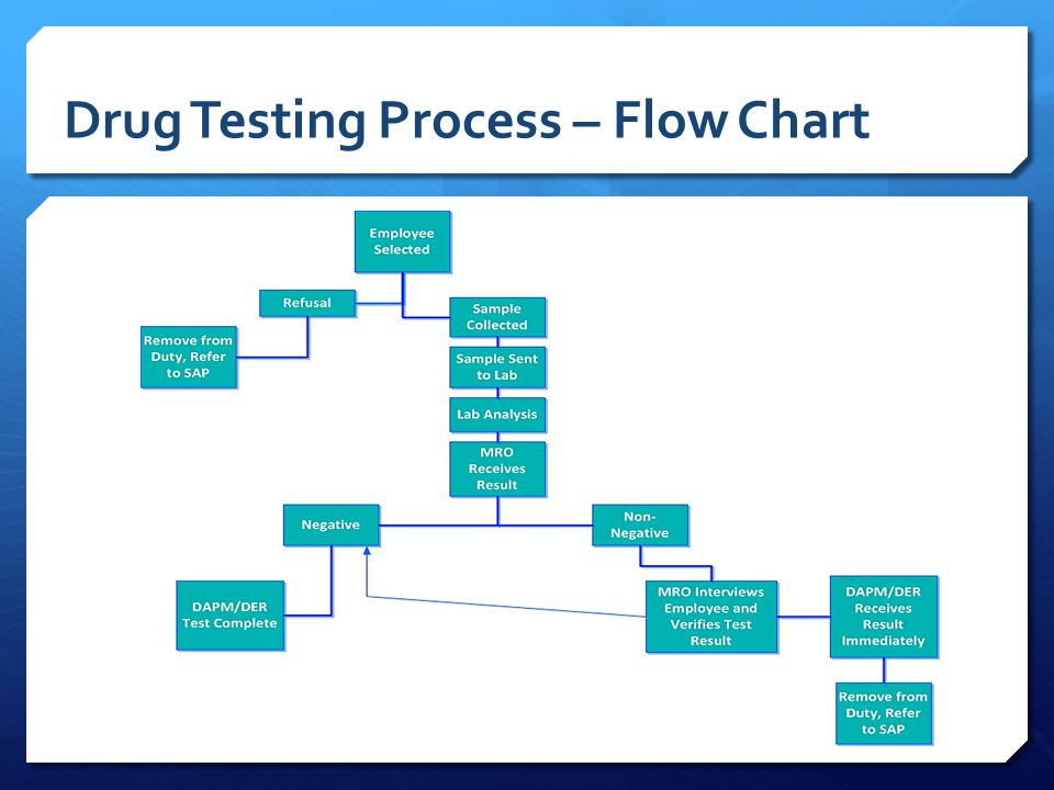 Fmcsa Post Accident Drug Testing Flow Chart A Visual Reference Of 