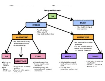 Food Flow Chart
