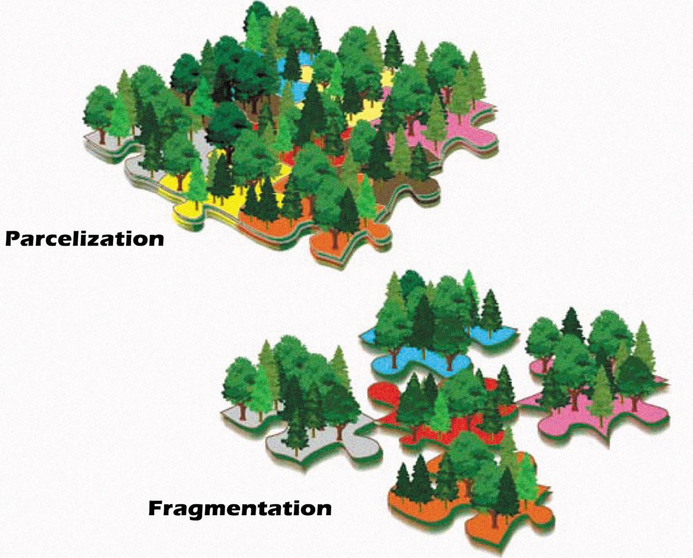 Forest Fragmentation Cornwall Historical Society