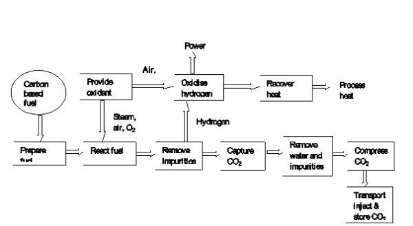 Formation Of Coal Flow Chart