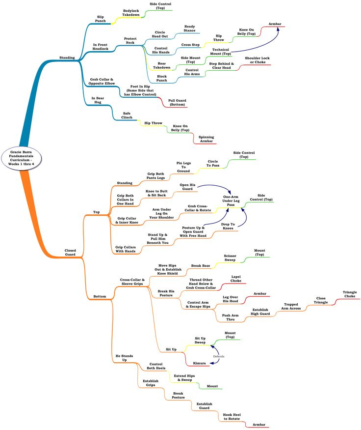 Found Some Great BJJ Flow Chart Flow Diagrams