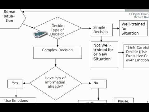 Fracture Treatment Decision Making Flow Chart