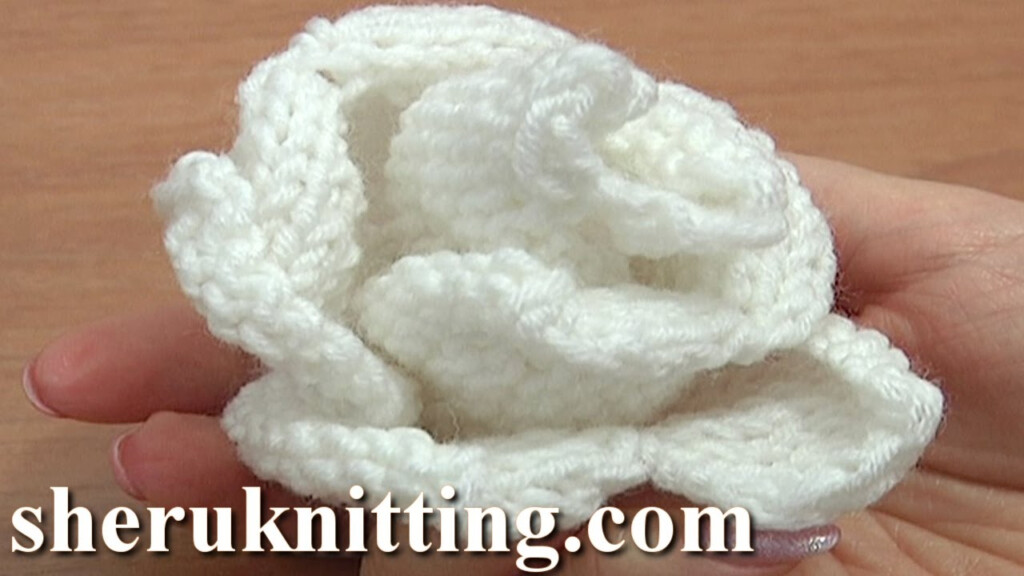 Free Knitting Flower Patterns Best Flower Site
