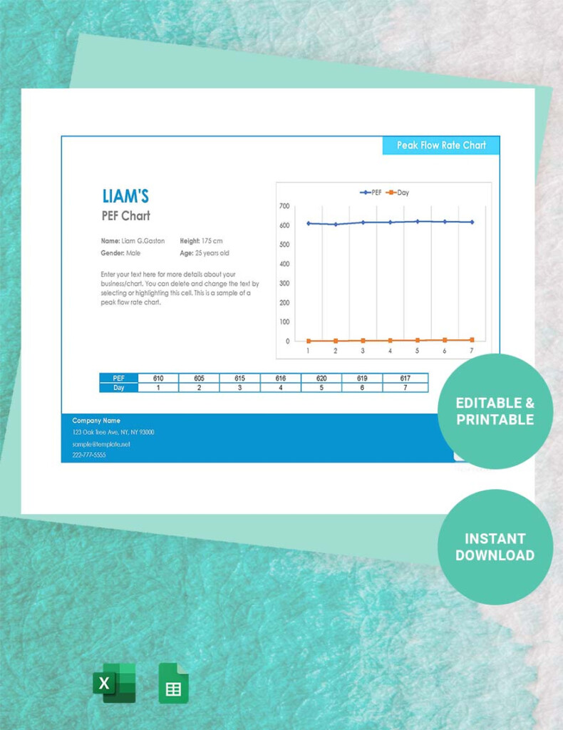 Free Peak Flow Rate Chart Google Sheets Excel Template