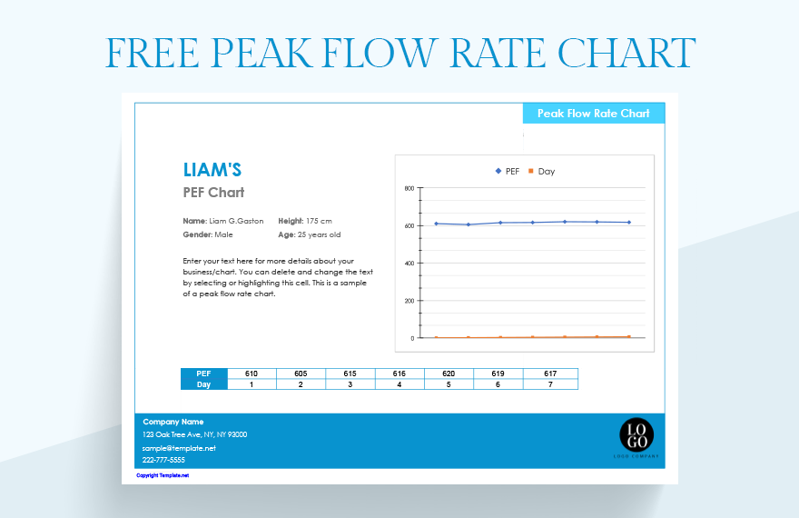 Free Peak Flow Rate Chart Google Sheets Excel Template