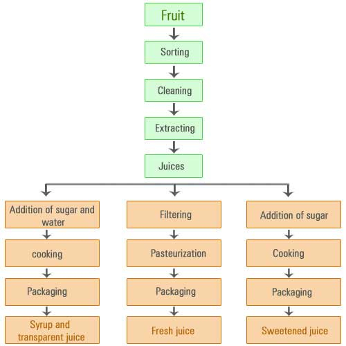 Fruit Juice Processing Flow Chart