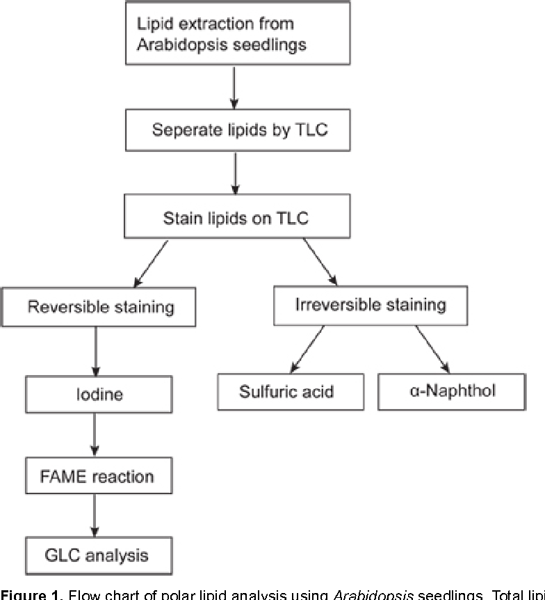 Gas Chromatography Flow Chart Ponasa