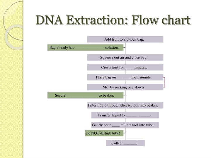 Genomic DNA Extraction