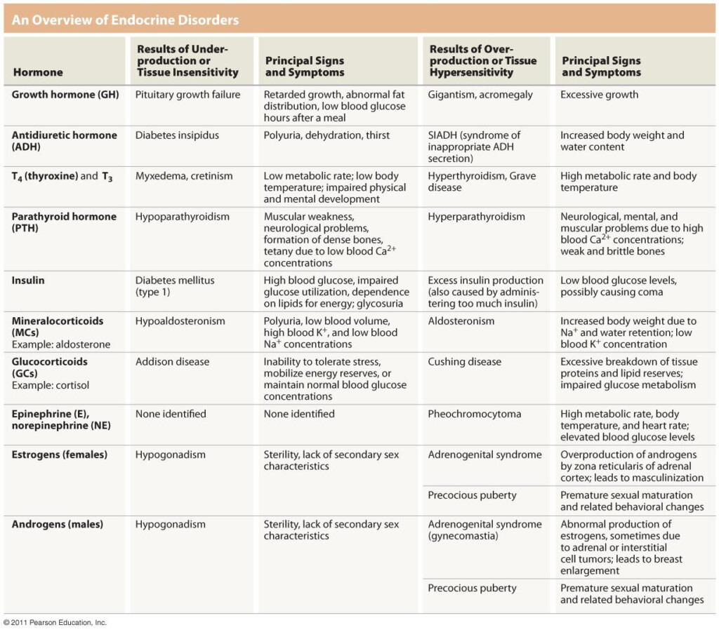 Glands And Their Hormones Chart