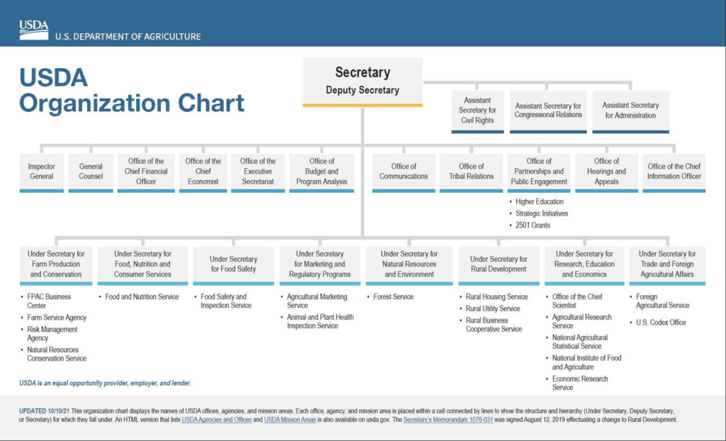 Government Agency Organizational Chart Best Practices The Complete 