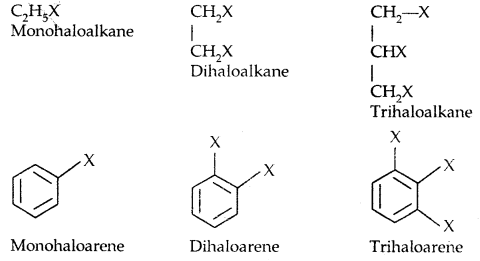 Haloalkanes And Haloarenes Class 12 Notes Chemistry Chapter 10 2022 