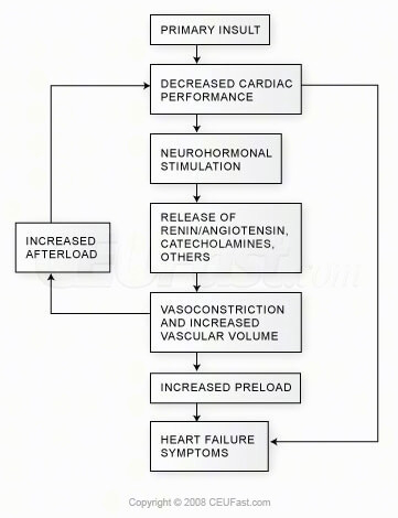 Heart Failure Pathophysiology Flow Chart Keski