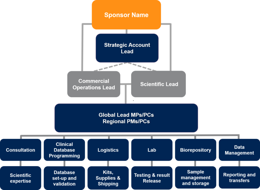 Hospital Laboratory Organizational Chart