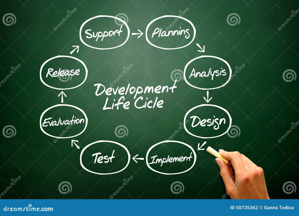 Human Life Cycle Flow Chart