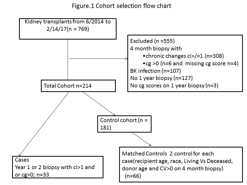 Humoral Immunity Flow Chart Labb By AG