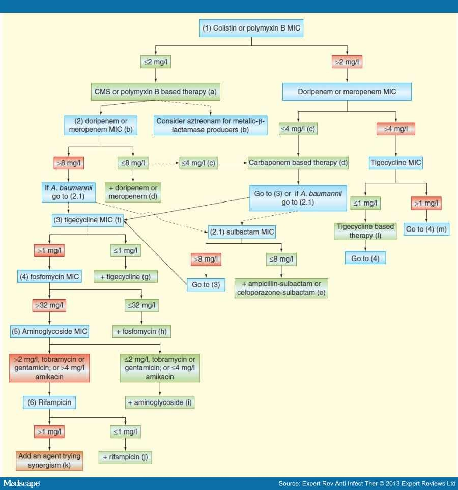Identifying Bacteria Flow Chart