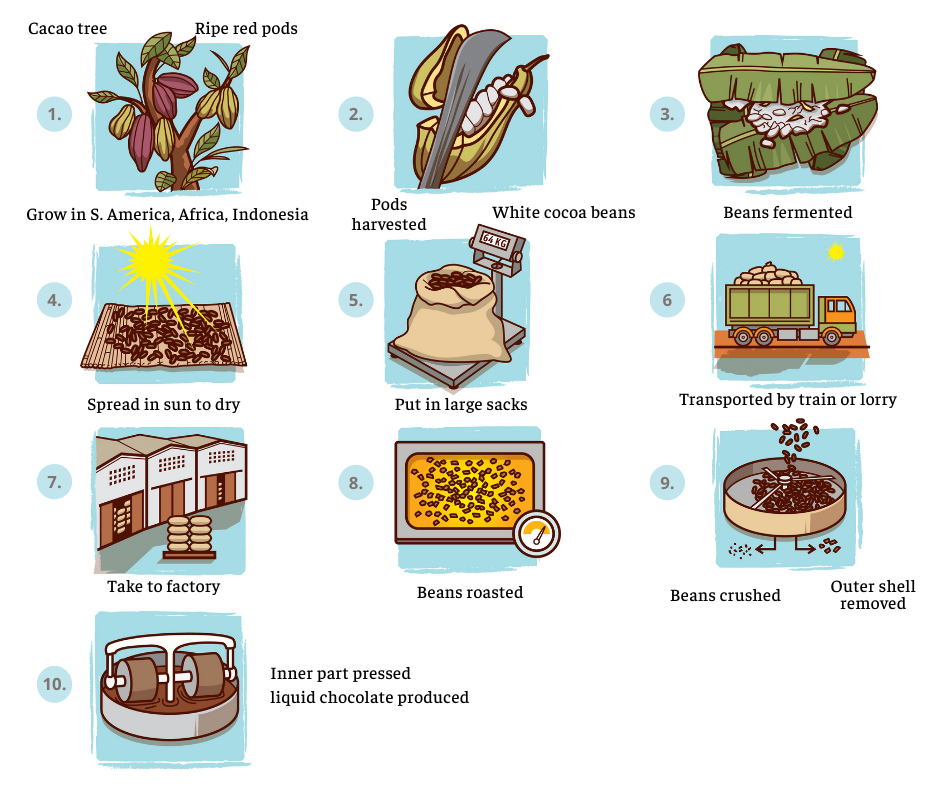 Ielts Writing Task 1 Process Chocolate Production Paramount Ielts 
