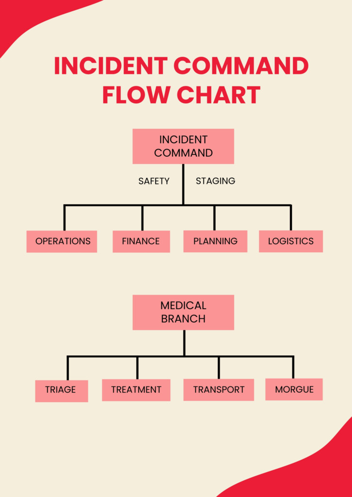 Incident Command Flow Chart In Illustrator PDF Download Template