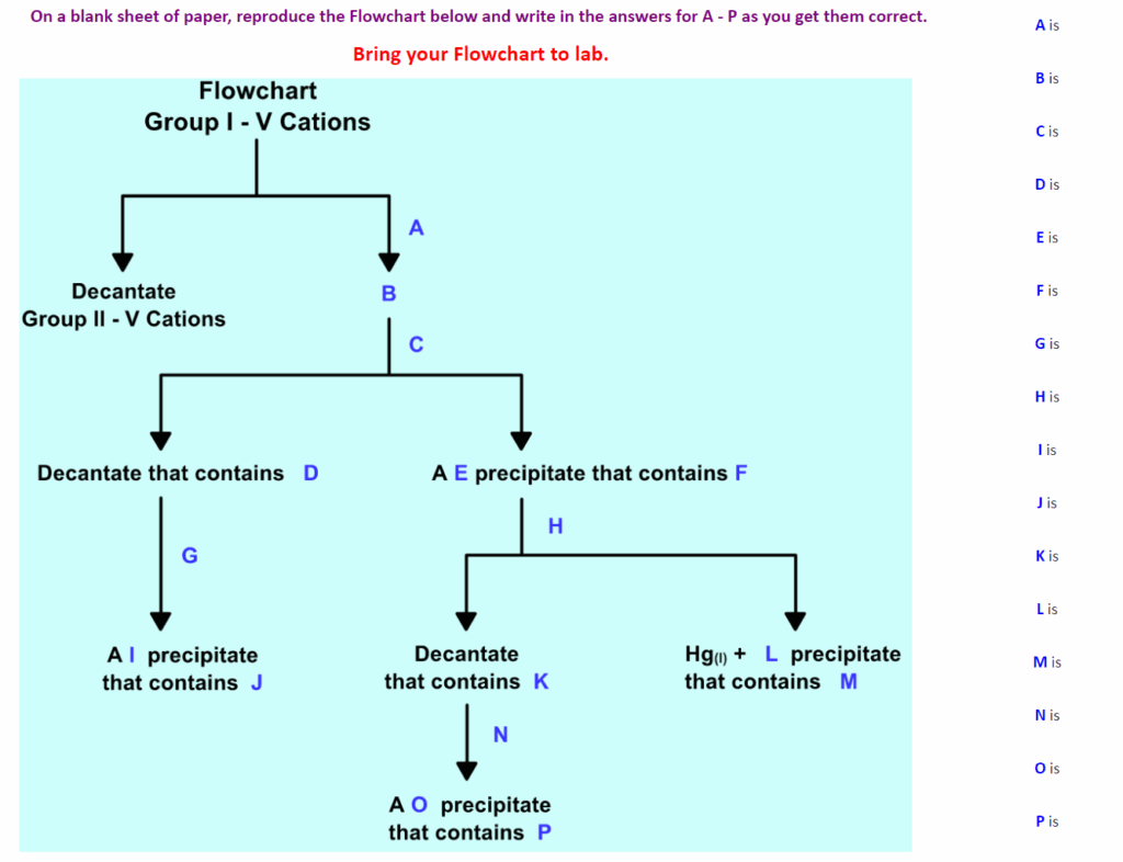 Lab Flow Chart