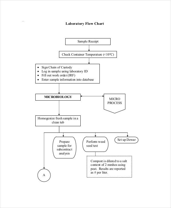 Lab Procedure Flow Chart