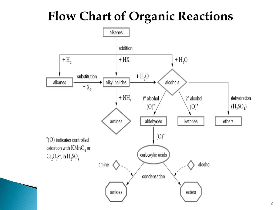 Light Reaction Flow Chart Kemele