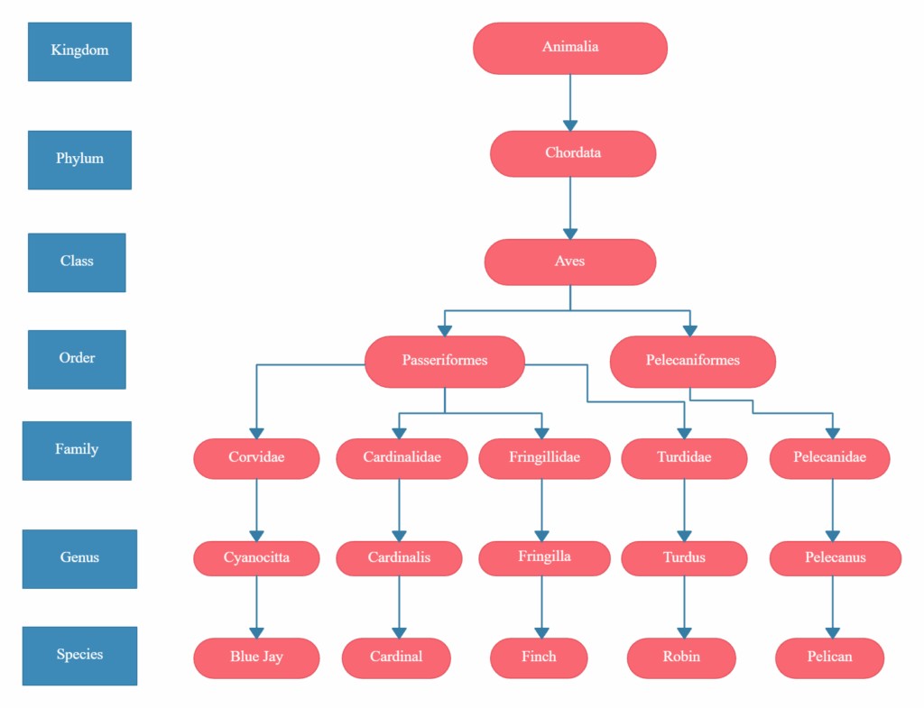 Linnaean Classification Chart Template