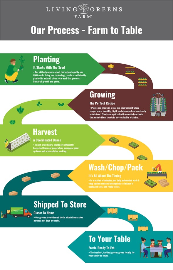 Living Greens Farm Farm To Table Process