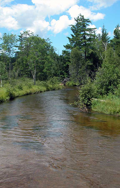 Manistee River Trout Unlimited