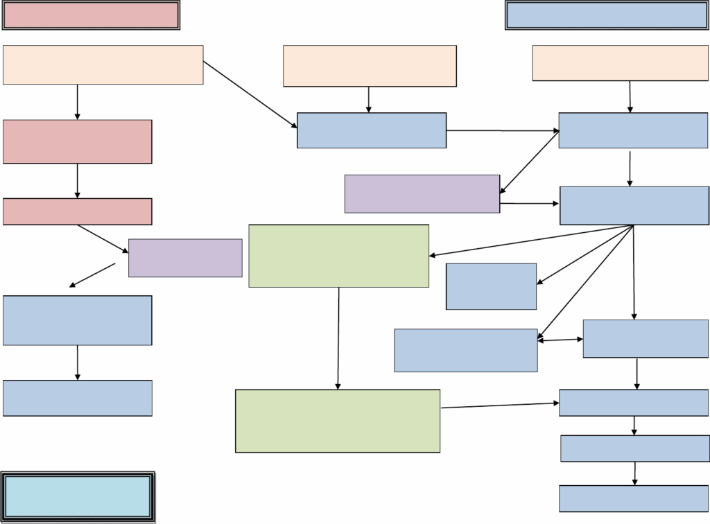 Math Flow Chart In Word And Pdf Formats