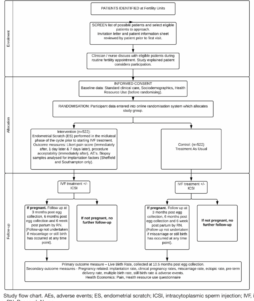 Menstrual Cycle Flow Chart