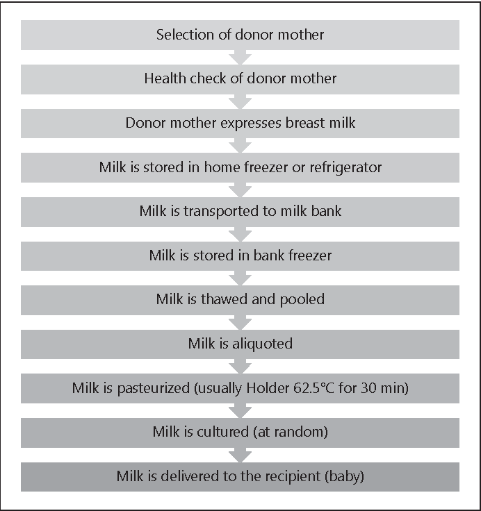 Milk Pasteurization Process Flow Chart Ponasa