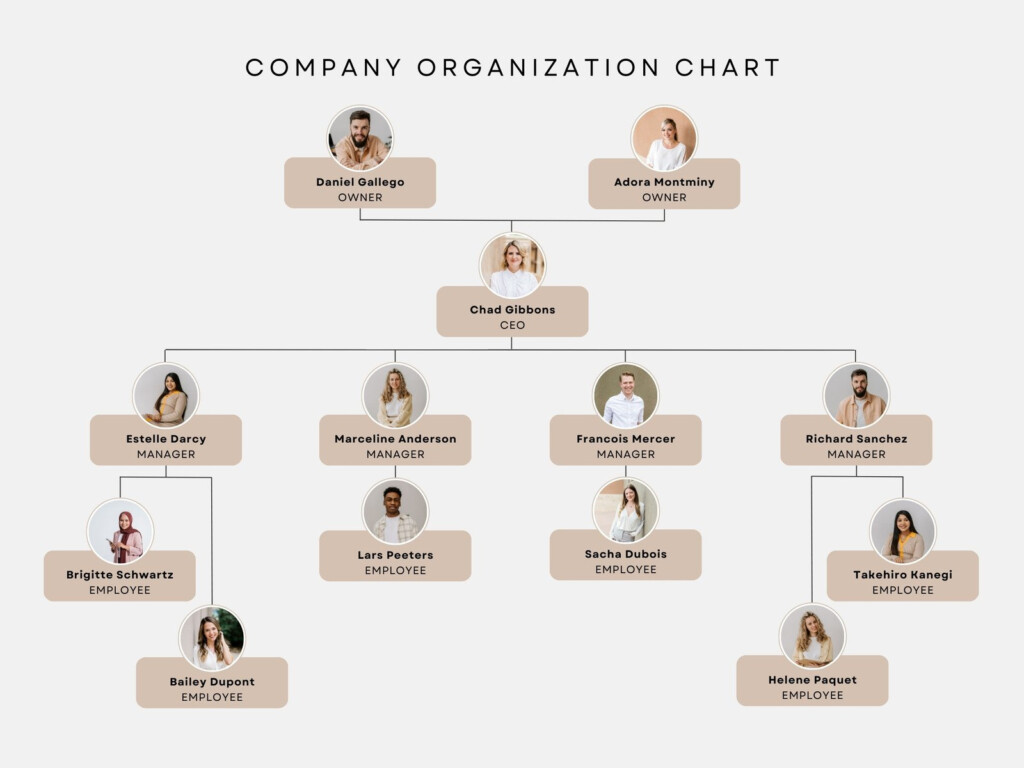 Minimalist Gold Company Organization Chart Organizational 54 OFF