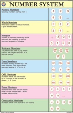 Number System For Mathematics Chart Manufacturer Supplier Exporter 