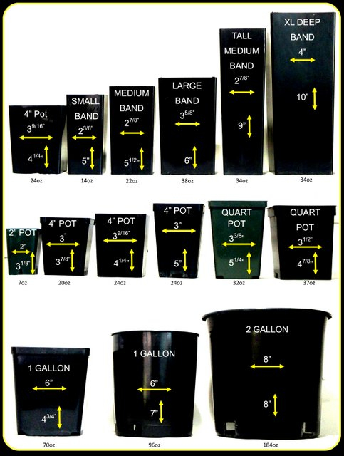 Nursery Pot Size Chart Flower Pot Sizes
