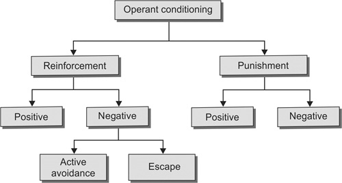 Operant Conditioning Flow Chart Ponasa
