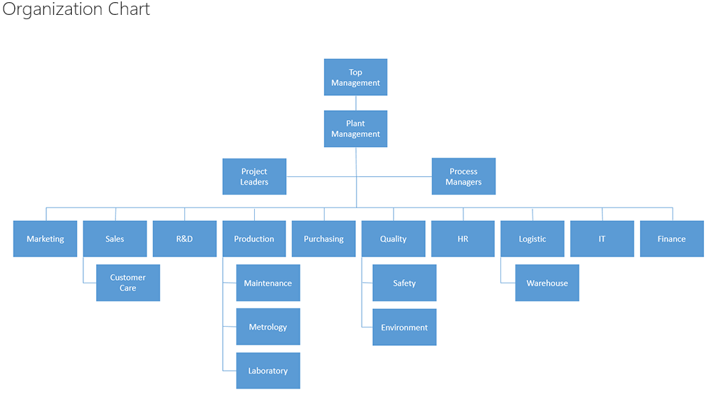 Organizational Chart With Responsibilities A Visual Reference Of 