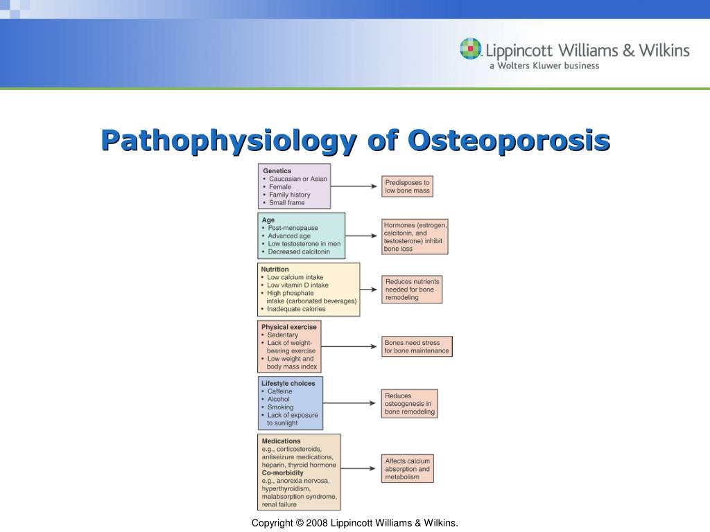 Osteoporosis Pathophysiology Flow Chart