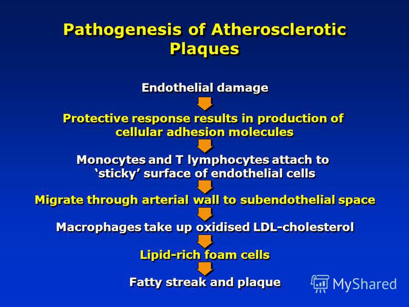 Pathogenesis Of Atherosclerosis Flow Chart Ponasa