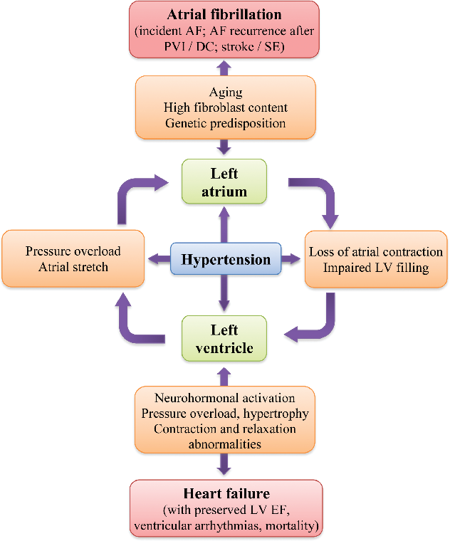 Pathophysiology Of Hypertension Flow Chart Vrogue co