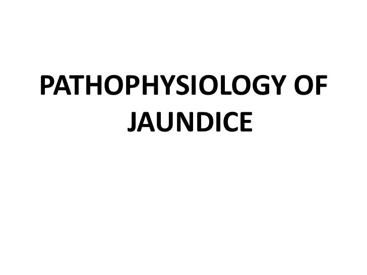 Pathophysiology Of Jaundice In Flow Chart A Visual Reference Of Charts 
