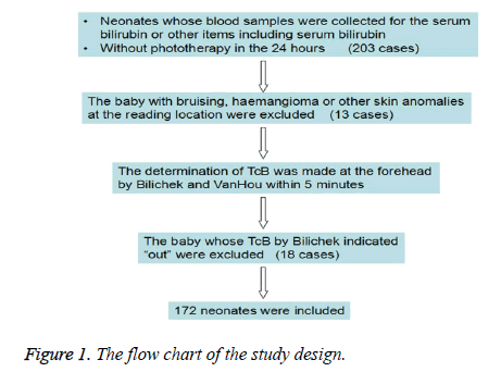 Pathophysiology Of Jaundice In Flow Chart A Visual Reference Of Charts 