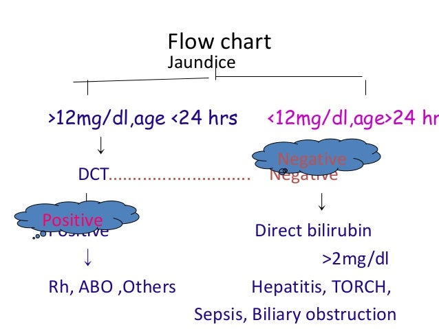 Pathophysiology Of Jaundice In Flow Chart Ponasa