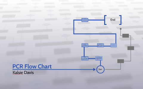PCR Flow Chart By Kalsie Davis On Prezi