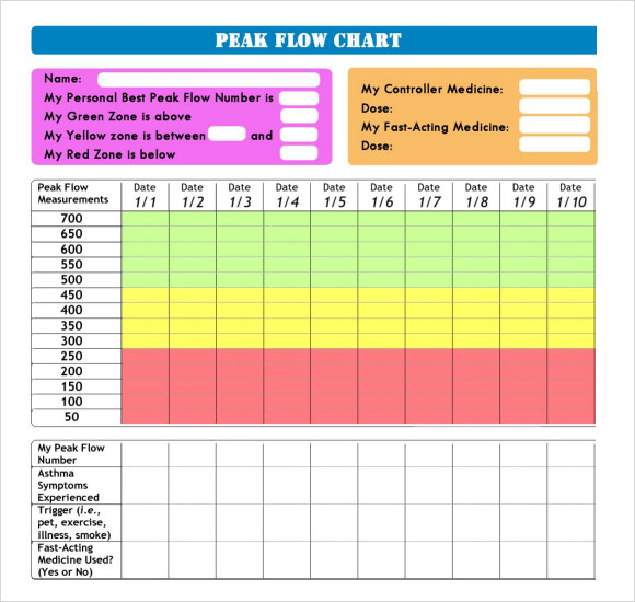Peak Flow Meter Chart Male At Marjorie Chamblee Blog
