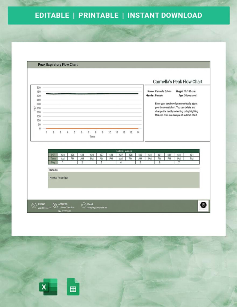 Pediatric Peak Flow Chart Google Sheets Excel Template