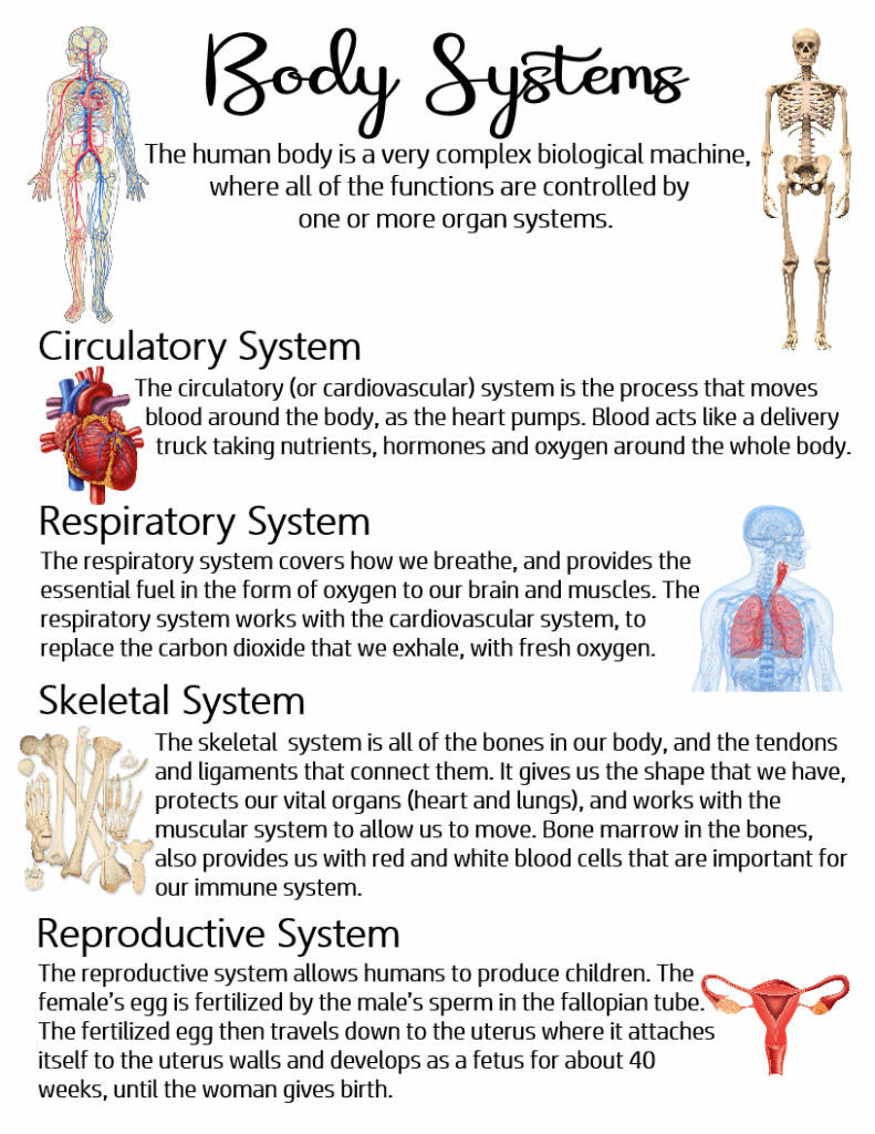 Pinterest Biology Facts Basic Anatomy And Physiology Human Body Systems