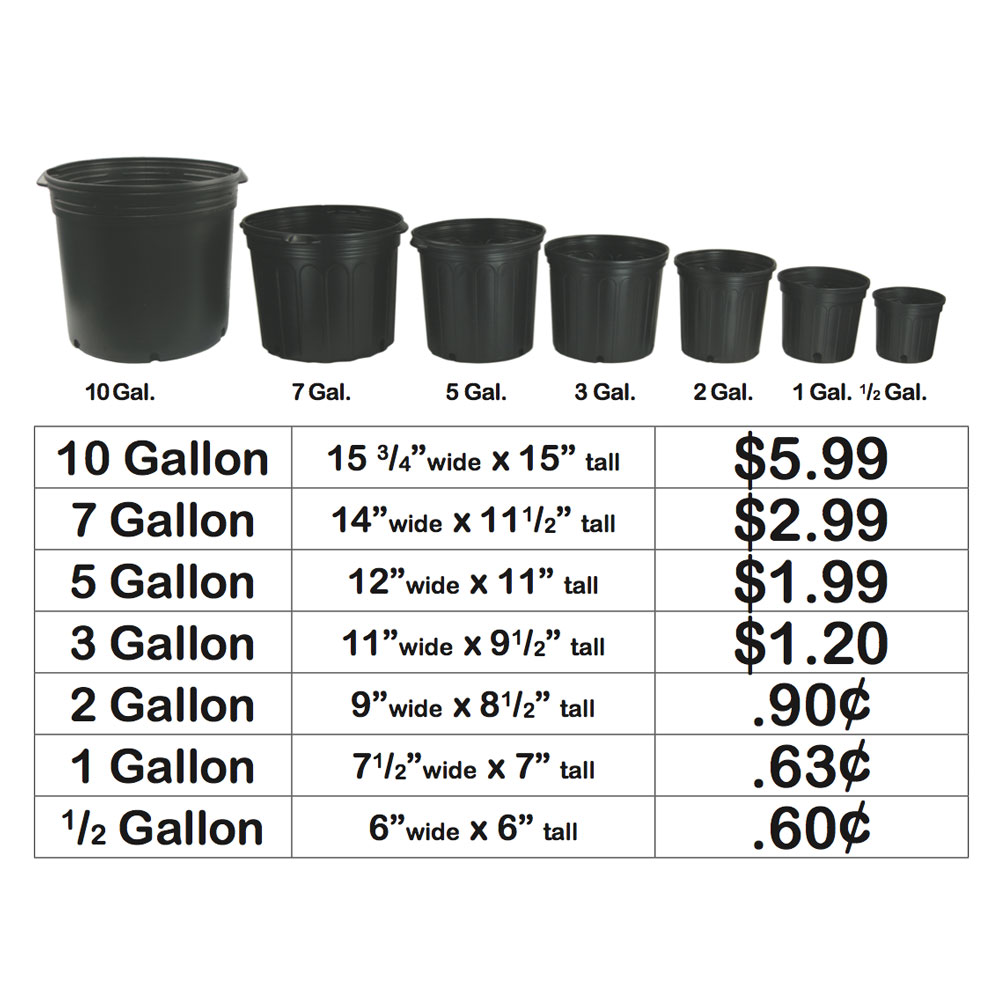 Plant Pot Sizes Chart Plant Ideas Vrogue co